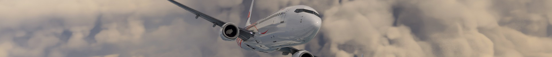 Banner / Image